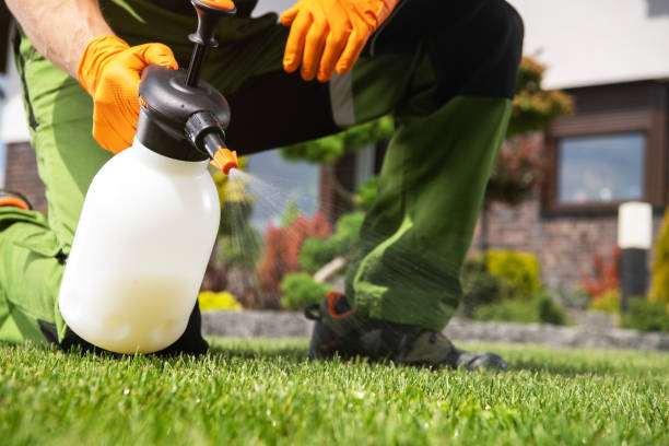 Best Residential Pest Control  in Waukee, IA
