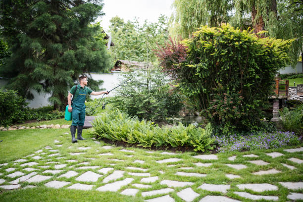 Reliable Waukee, IA Pest Control Solutions
