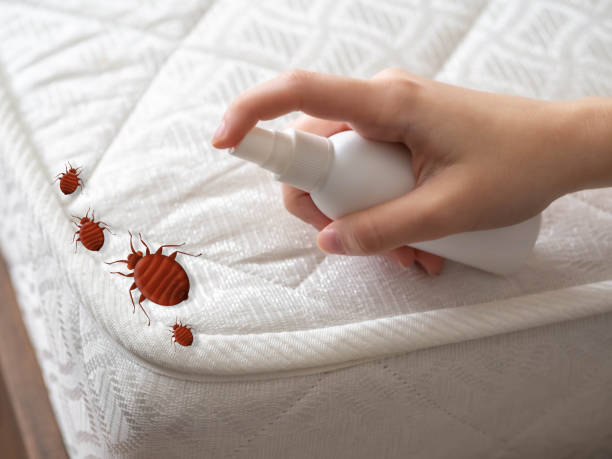 Best Termite Control Services  in Waukee, IA