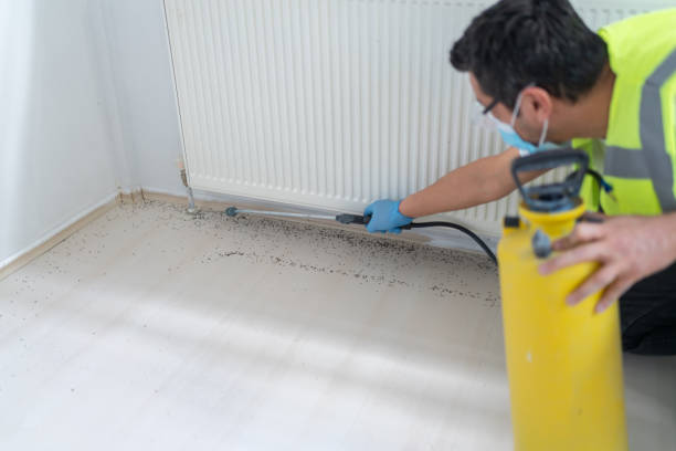Best Pest Control for Restaurants  in Waukee, IA